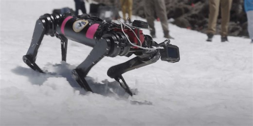 La Nasa entraine ces robots dans les montagnes pour leurs futures missions sur la Lune