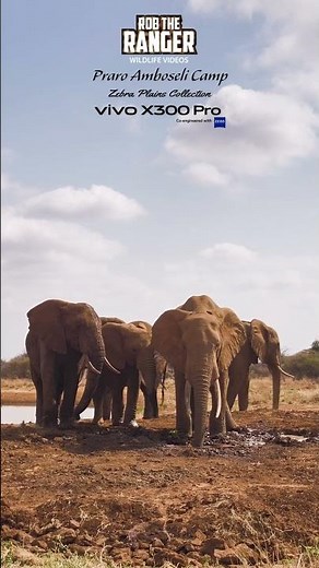 🐘🐘 Awesome Elephant Sighting at Praro Amboseli Camp Waterhole 🐘🐘 #vivoX300pro #wildlife