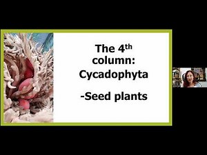 Michal Yakir PhD RCHom – The CYCADOPHYTA of the Homeopathic Ancient Plant Table