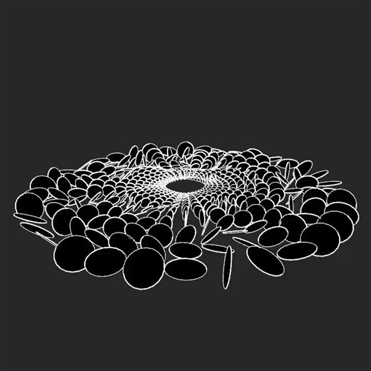 Circle on ring. Source code -> https://t.co/7AZlQQtgfm NFT -> https://t.co/J5L4eoUMrh #openframeworks #programming #creativecoding #プログラミング