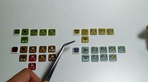 自学BCS系列，关于Formation的基本信息