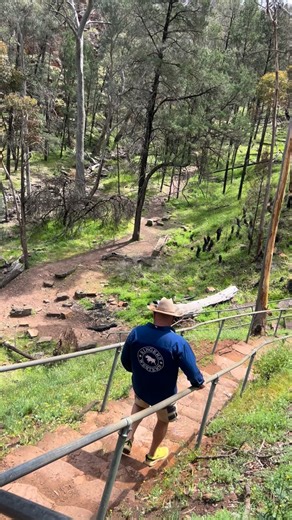 📍Alligator Gorge, Mt Remarkable South Australia Turns out you don’t need to go north to find gorges and crocs…well almost! Alligator Gorge in the Flinders Ranges is stunning… and completely reptile-free. ♥️ Follow for more ⬇️ Save for later 💕Share with a friend #travellingozourway #travellingoz #experienceoz #exploreoz #traveloz #australia #freecampsite #caravan #southaustralia #alligatorgorge #flindersranges #australianadventure #mountremarkable | Travelling Oz Our Way