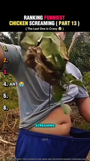 Funniest Chicken Screaming (Pt- 13 ) 😭