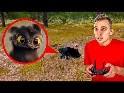 The Origin Story Of Toothless From Movie How To Train Your Dragon