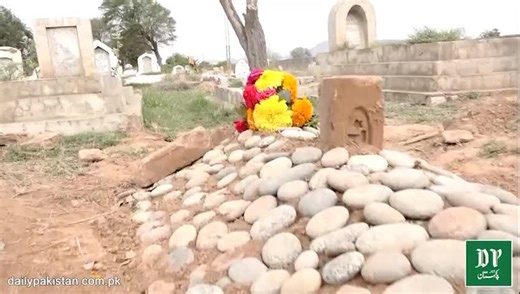 195K views · 10K reactions | 7 din ki bachi ko 5 goliyan maar kr baap ne Qatal kr dia… | Yasir Shami & Nasir Afro | Facebook