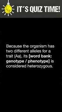 Genotype vs Phenotype
