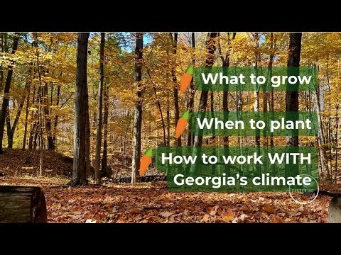 Georgia Garden Planning 2026: What to Grow & When