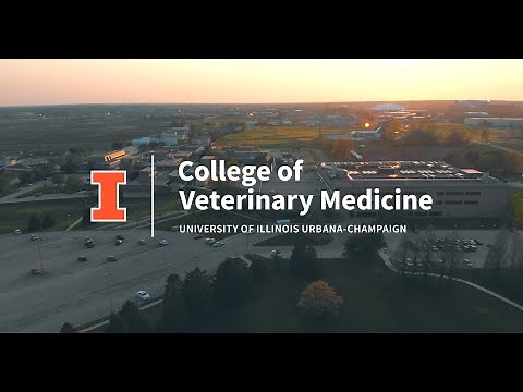 Virtually Visit the University of Illinois College of Veterinary Medicine | Campus Tour with Alyssa