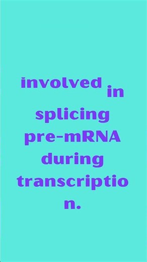 PRPF31 Pre mRNA Processing Factor 31