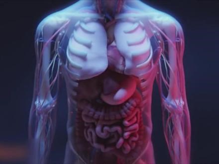 一看就懂！基因3D动画演示🧬 #基因 #科技 #科普 #生命科学 #解压