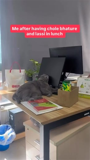 100K views · 156 reactions | which food combo does this to you? 蠟 #FCReels | FilterCopy | Facebook