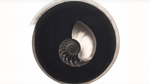 The Artist Series Season 2 Coming Up