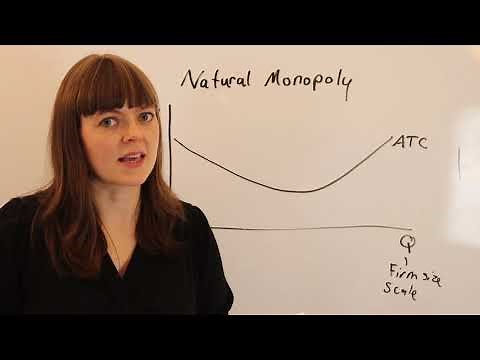 Natural Monopoly
