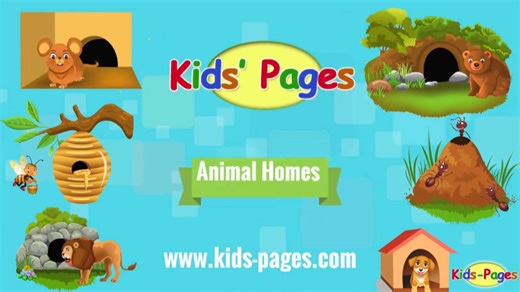 油管几千万播放量的日常英语口语【 Animal Homes 】