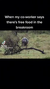 86K views · 1.3K reactions | Work Memes on Reels | Facebook