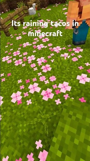 it's raining tacos in minecraft