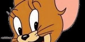 Password Validator using html css and javascript