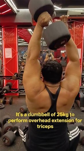 overhead extension with 25kgs for 15 reps.