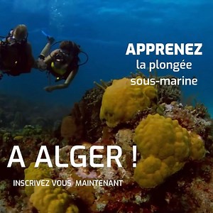 🔴 APPRENEZ LA PLONGEE SOUS MARINE A ALGER 🐠 : STAGE A PARTIR DE CE WEEK-END ‼ 🌈Echappez au COVID et profitez d'un autre monde 🐟🐬 Le Stage P1 démarre très prochainement et inclus : - 8 Plongées sous-marine Matériel inclus 🤿 - 4 Séances de natation 🏊 - 12 Sessions théoriques - Groupes restreints (maximum 6 stagiaires) mesures COVID - Diplôme fédéral de plongée sous-marine 🎖 Assurance inclus - Licence de plongée sous marine 🏆 Livret de plongée - Possibilité d'avoir la carte CMAS (Reconnue 