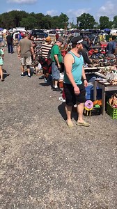 Berlin Farmers Market on Reels