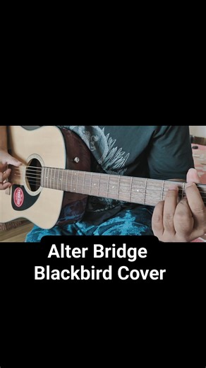 Tried this song on acoustic guitar. This song is very difficult to play and sing, tried my best 💪 Thank you for this song Alter Bridge Mark Tremonti Myles Kennedy Mark Tremonti Mark Tremonti Myles Kennedy Alter Bridge Mark Tremonti Italia #Blackbird #alternativerockmusic #musicislife #videobywife #rockmusic #rockmusician #follower #alterbridge #myleskennedy #marktremonti | Soumyajit Chakraborty