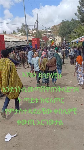 Haylu Gorgo (@haylu.gorgo)’s videos with original sound - Haylu Gorgo