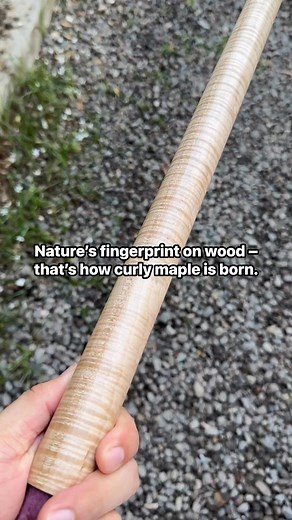 Nature’s fingerprint on wood – that’s how curly maple is born. #customcues #custommadecue #billiards #cuemaker #handmade #handcrafted #gawangpampanga #gawangpinoy #gawanglokal #supportlocal #reels2025シ | CUES Master - Custom-Made Cues