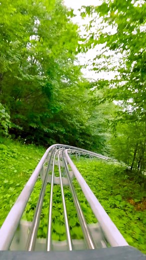 7.3K views · 63 reactions | Come take a ride on the Timber Ripper Mountain Coaster with us! Check out this full clip of the beautiful green winding track gliding you back down to the base of Jackson Gore. It's one sweet ride! #itsOKEMOtime | Okemo Mountain Resort | Facebook