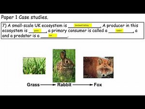 Paper 1 Physical Geography Case Study examples and facts - OMG Revision