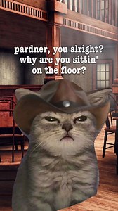 58K views · 4.5K reactions | Cats And Cowboy Hats on Reels | Facebook