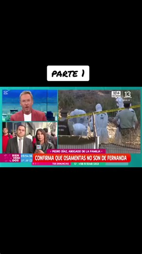 Tráfico de Autos en la Frontera Chile-Bolivia: Revelaciones