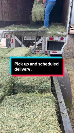 Quality Hay for Sale with Delivery Options