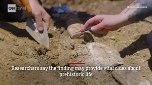 Amateur fossil hunters find 19-foot-tall, 100 million-year-old skeleton