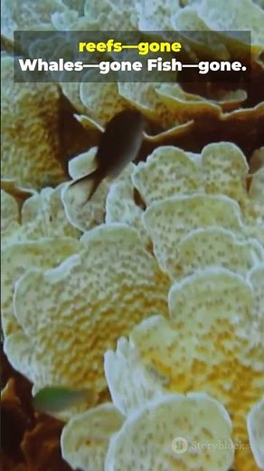 What If Oceans Disappeared Overnight?