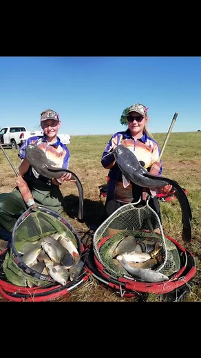 2.5K views · 41 reactions | Elite Series on Reels | Facebook