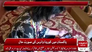 565K views · 1.6K shares | صوابی سے تعلق رکھنے والے تعلیم یافتہ خواجہ سرا پر قسمت کی دیوی مہربان ہوگئی ۔۔سائٹ انجینیرنگ کی ڈگری رکھنے والے ڈولفن اہیان کو بیت المال پاکستان کی جانب سے پی ایچ ڈی تک مفت تعلیم کی پیشکش Saqib Ur Rehman good job  | Fatima Nazish | Facebook