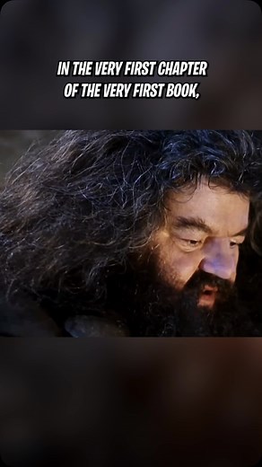 Somehow, Hagrid survived something … somehow he rescued or saved Dumbledore’s life … there’s a backstory there! #dumbledore #hagrid #voldemort #grindelwald #harrypotter #potterhead | The Flannel Wizard