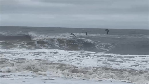 70 reactions · 3 comments | Hunt Harris on Reels | Facebook