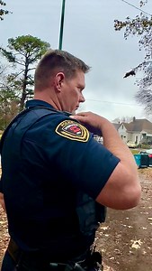 Springfield, MO Police Department on Reels