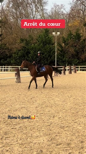 L’hiver à cheval : un moment génial 🥰