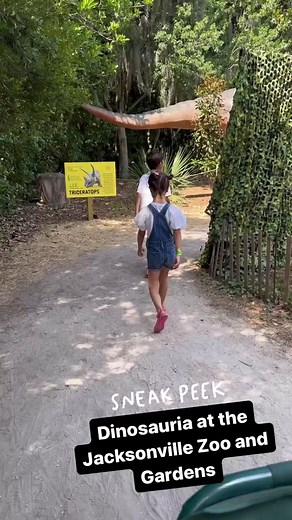 5.2K views · 61 reactions | (홎홪홢홢홚홧 홁홪홣) Dinosauria is at the Jacksonville Zoo and Gardens until August 13th from 9am-5pm! You can access Dinosauria with a Total Experience ticket that also includes carousel and train rides, 4D theatre entry and animal feedings! https://tinyurl.com/2p9f6vdw You can also see the dino exhibit with a IllumiNights Summer Spectacle Ticket every Friday night through August 11th! | Fun 4 First Coast Kids | Facebook