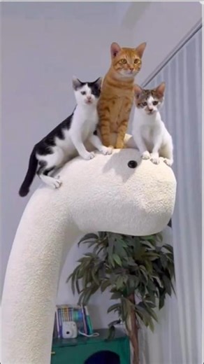 Kittens Go CRAZY Over Giant Dinosaur Cat Tree #Shorts