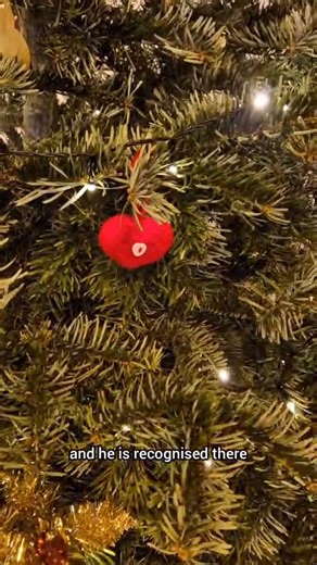 🎄Rev Michelle Dalliston explains why St John's Church still has its Christmas Tree up🎄 | Peterborough Telegraph