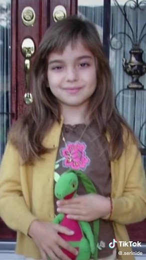 Celebrating Sixteen Years of Friendship with Pokemon Grovyle