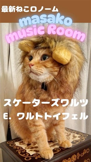 最新 ねこロノーム『スケーターズワルツ』#ピアノ#piano#猫#発表会人気曲#メトロノーム#等速感#スケーターズワルツ