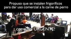 12K views · 332 reactions | Fue en la audiencia pública por la superpoblación canina en Río Gallegos. Argumentó que se podría exportar la carne y dar uso a la piel. Marcó que en Santa Fe hubo una iniciativa similar y que además ayudaría a la economía de la Comuna. Fuente: Tiemposur. | Gente que quiere el cambio | Facebook