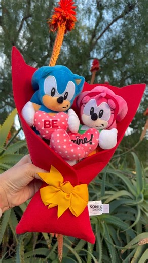 Sonic the Hedgehog on Instagram: "This adorable plush bouquet featuring Sonic and Amy is the perfect Valentine’s Day gift for your player 2. Available exclusively at @walmart stores. These will sell out, so go find them FAST! #valentines #sonic #sonicthehedgehog #sega #amyrose #bouquet #plush"