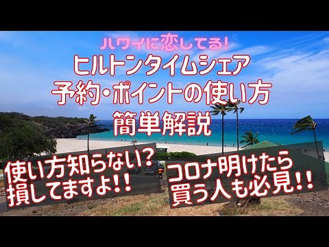 【ヒルトンタイムシェア】5分で簡単解説 タイムシェア 予約方法・ポイント制度 | HGVC |リセール | 比較 |くじら倶楽部 | プチ移住 | ハワイ
