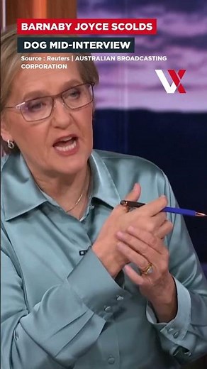 Australian Politician Loses Train Of Thought After Dog Interrupts Interview | VERTEX