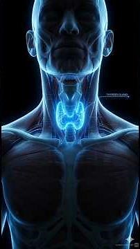 Thyroid Hormone System Explained | How T3 & T4 Control Your Body (3D Animation)